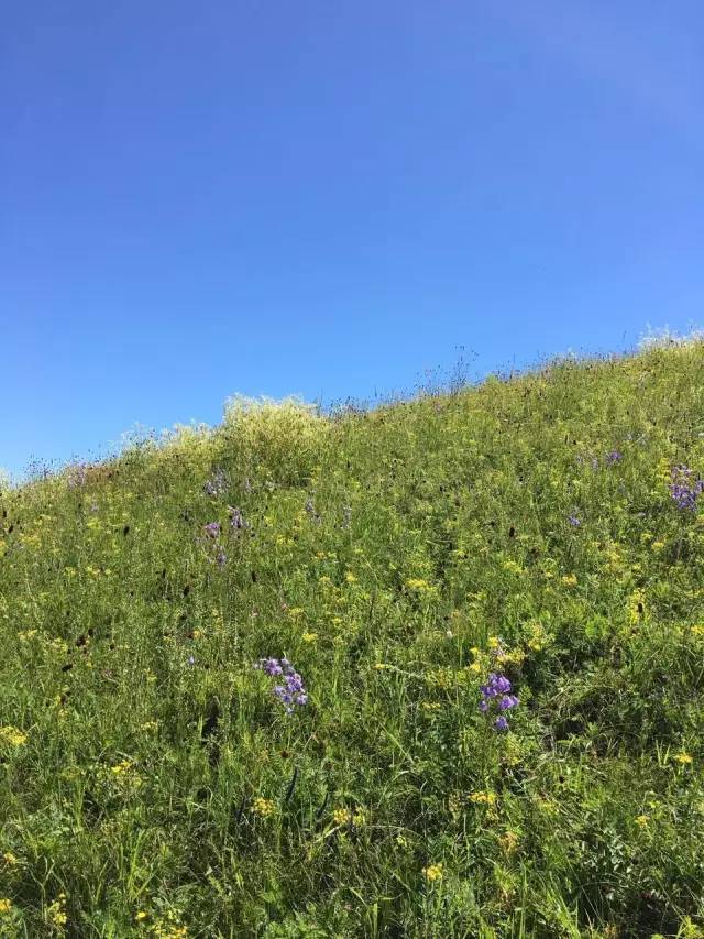 中文字幕不卡高清视频在线 中文字幕避免高峰时段观看