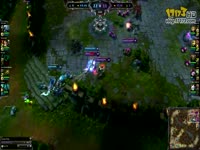 经典啄木鸟系列海报