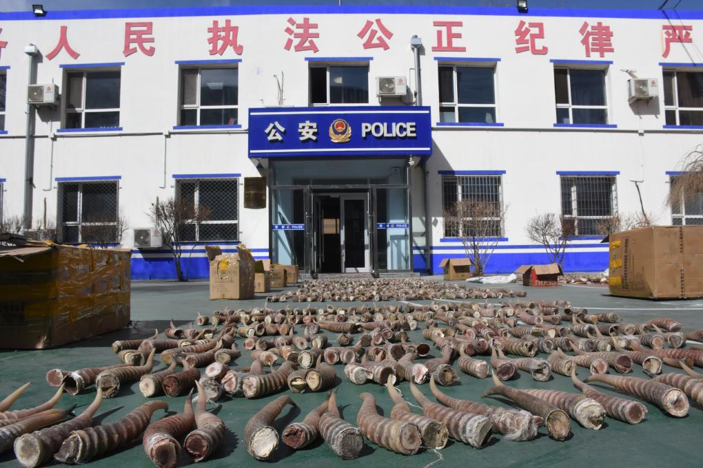 哚哚在线影视 安全和体验成本非常高海报