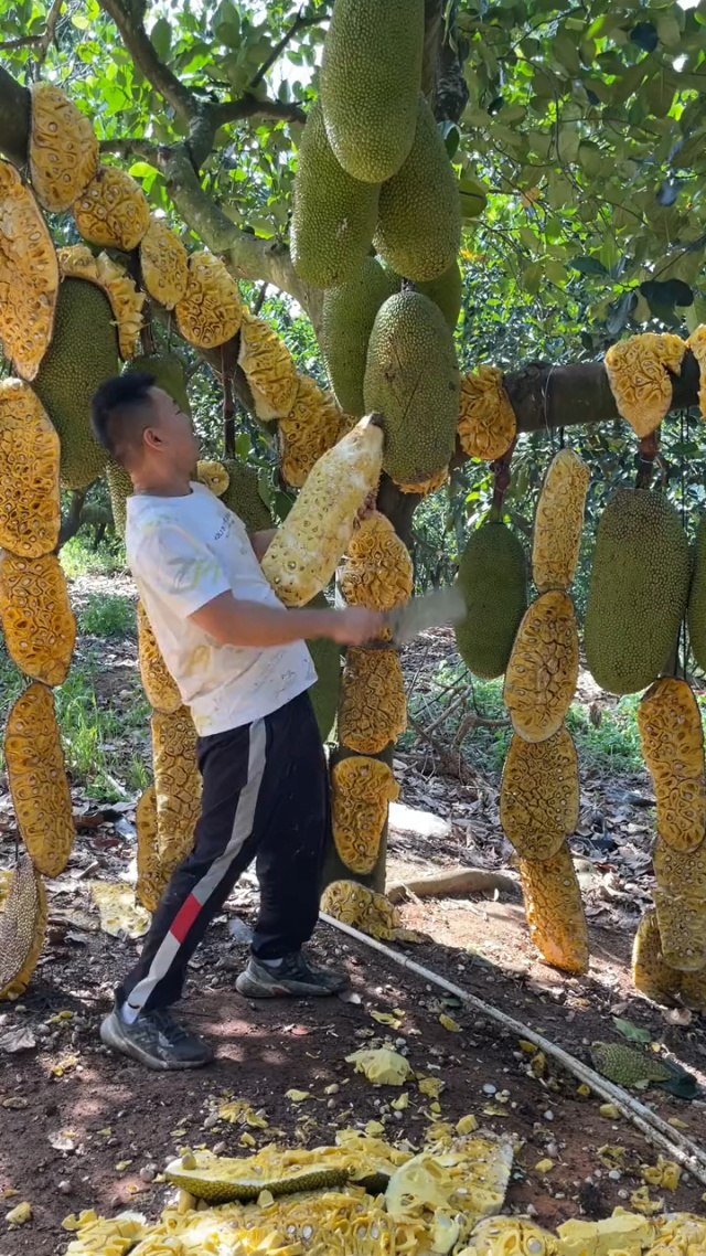 成人电影在线观看热 线观别让它主导你的看热生活