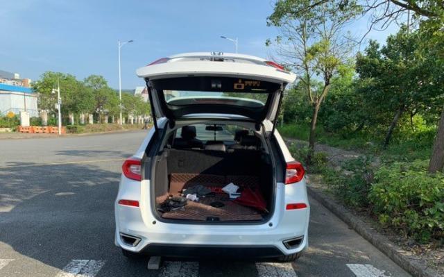 最新日韩在线视频 