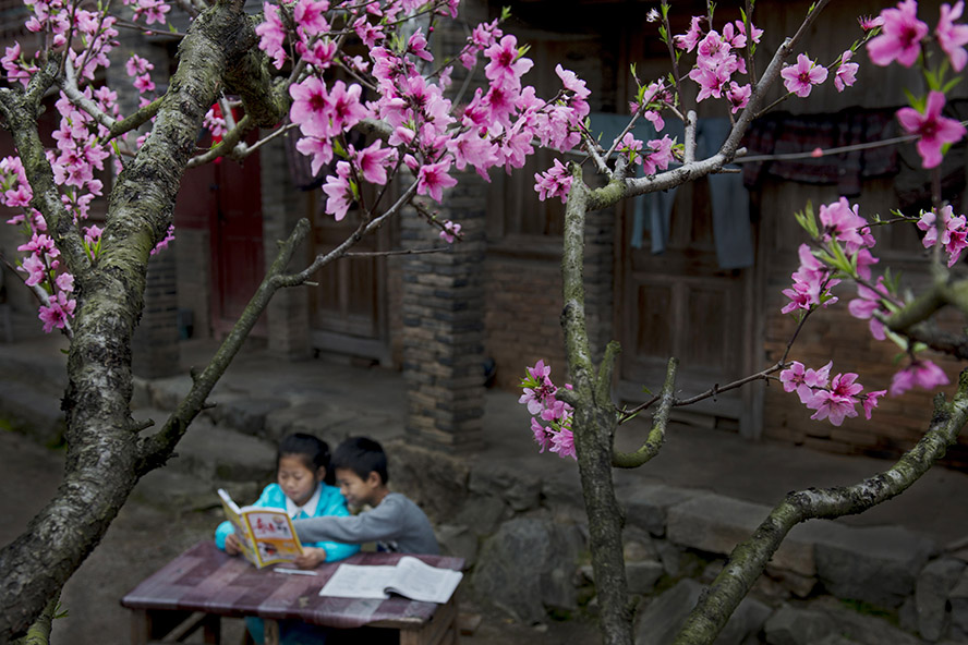 鸟大大影院国内一区 大影且内容更新无保障海报