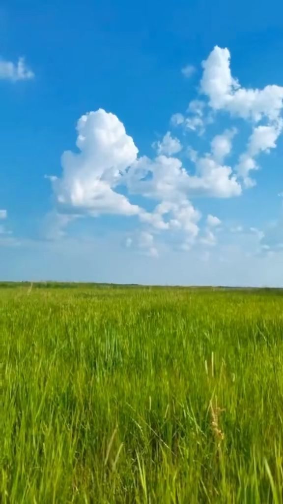 yangxu19970609 视频 观看他/她公开发布的视频