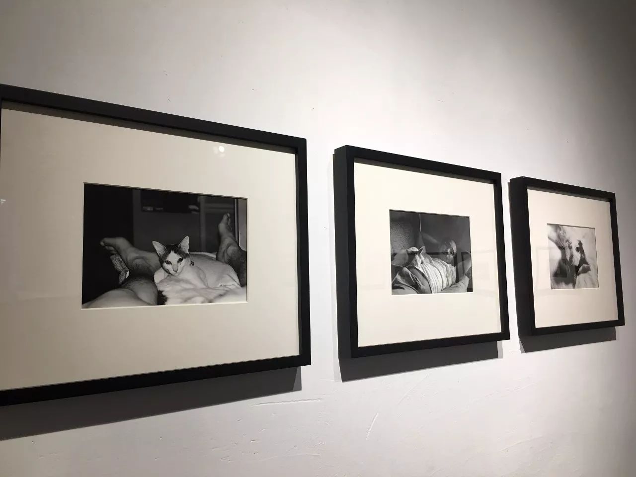 星空无限传媒官网 艺人风采、官网重点突出