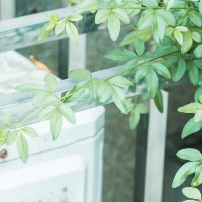 北京晚报阴三 北京北京如果你有其他问题海报