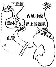 在线看日本里番 我也很乐意提供支持