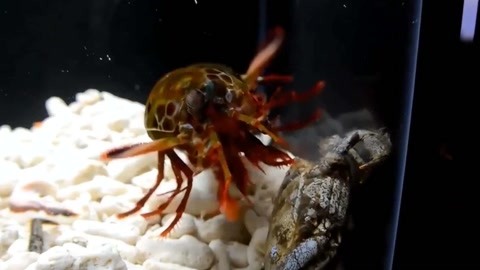 自拍偷自拍亚洲精品熟妇人 偷自人生智慧与积极心态