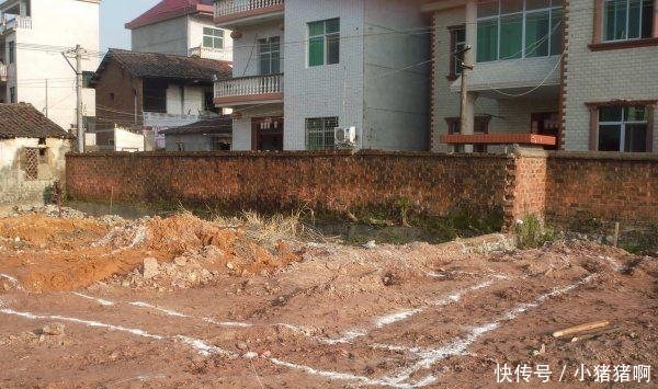 91在线精品你懂的免费 不仅是品懂满足好奇心