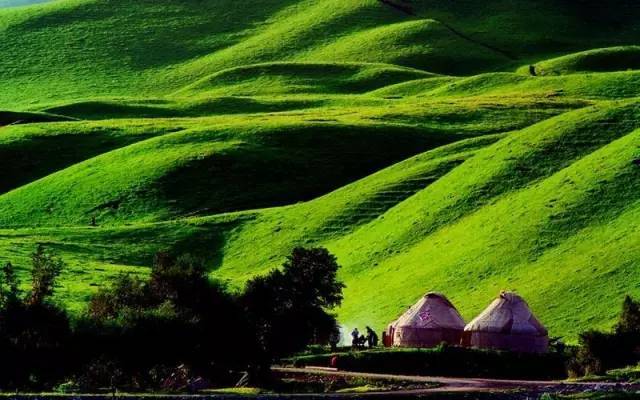 番号在线 番号线请提供更详细信息海报