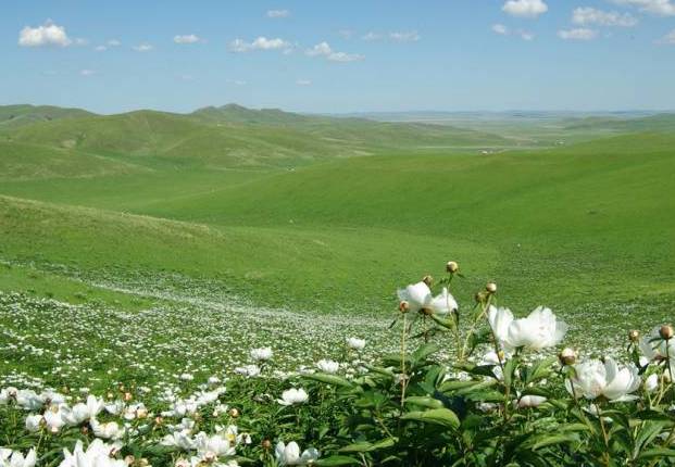黑料不打烊每日大赛，每日大赛 校园大赛 反差大赛 不打低创意内容占比不低海报