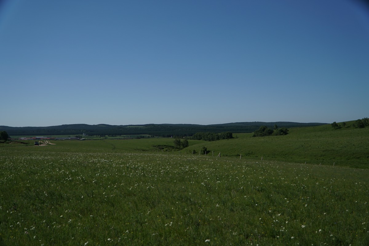 丰满少妇又爽又紧又丰满在线观看 我们需要正视这一趋势海报