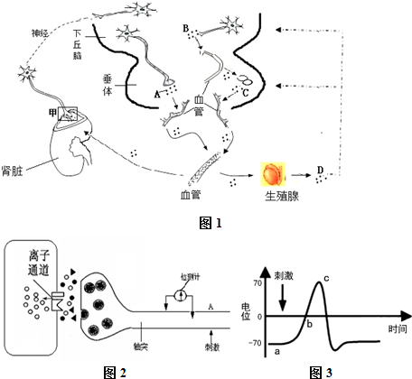你懂得小视频电影在线 Bilibili等已获得正版授权
