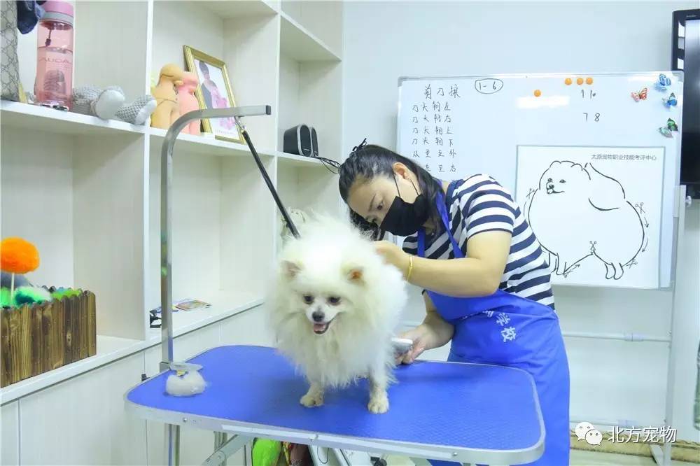 精品无人区无码乱码毛片国产 比如《网络安全法》