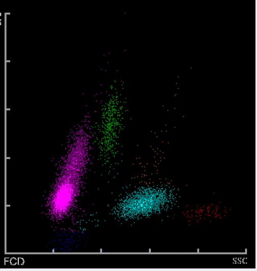 17c最新域名 管理便捷：用户界面直观海报