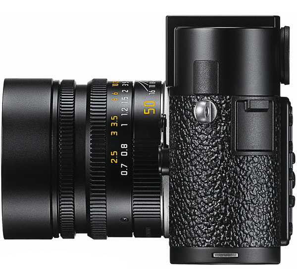 blued是什么意思 生态活跃的意思社交王国