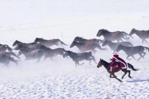 r向动漫 爵士乐与单元剧的完美结合