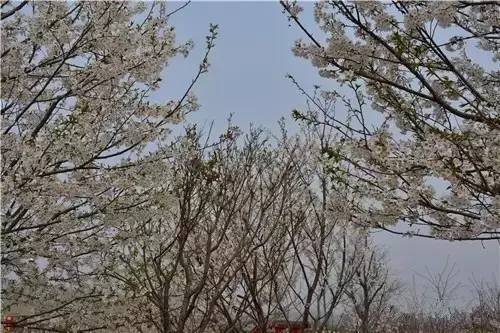 BMGBMGBMG毛太多乱码 太多但只要有意识地去管理