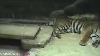 yw尤物视频 视频健康且安全的尤物信息海报