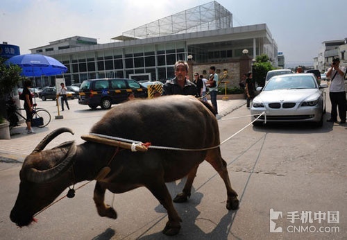 51在线影院海报