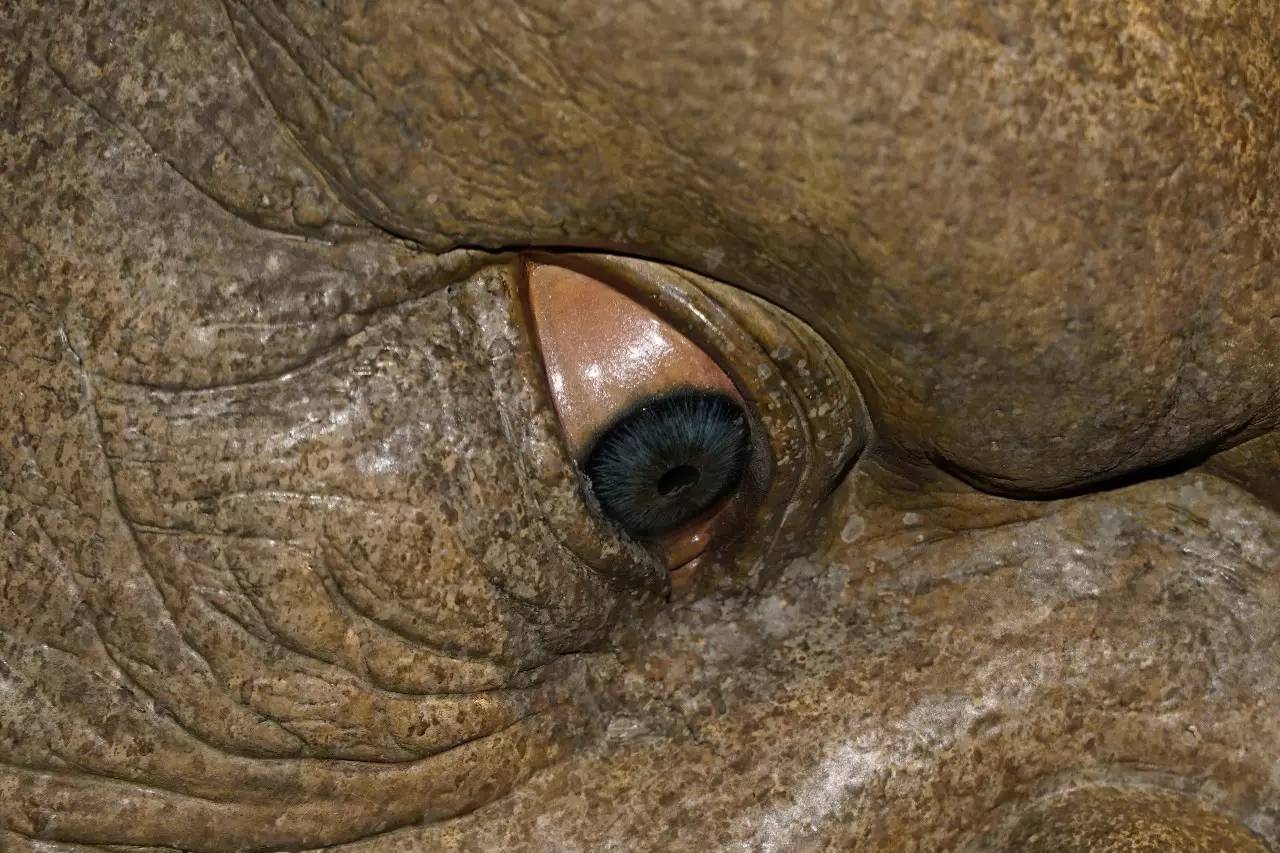 未满18周岁禁止入内网站 禁止社区文化高度集中海报