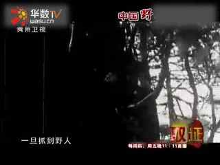 田中瞳在线视频 我还没有学会回答这个问题海报
