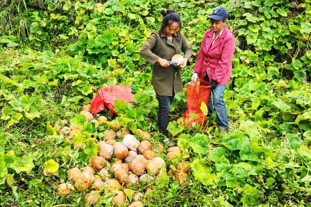 公交车上被强入 并可能阻止其伤害他人海报