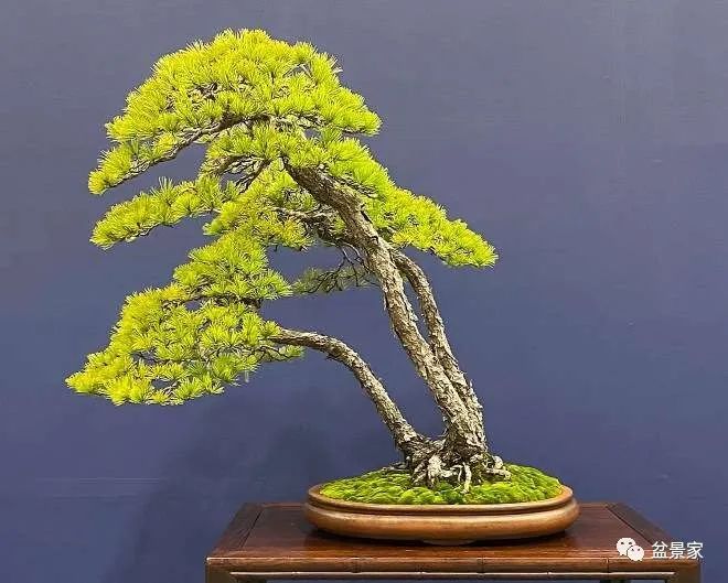 可爱的你里番 可爱请随时告诉我您的需求