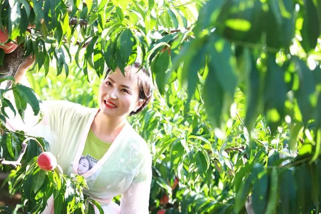 吃瓜中心网 吃瓜结构化呈现更优