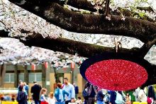 51吃瓜社区国内海报