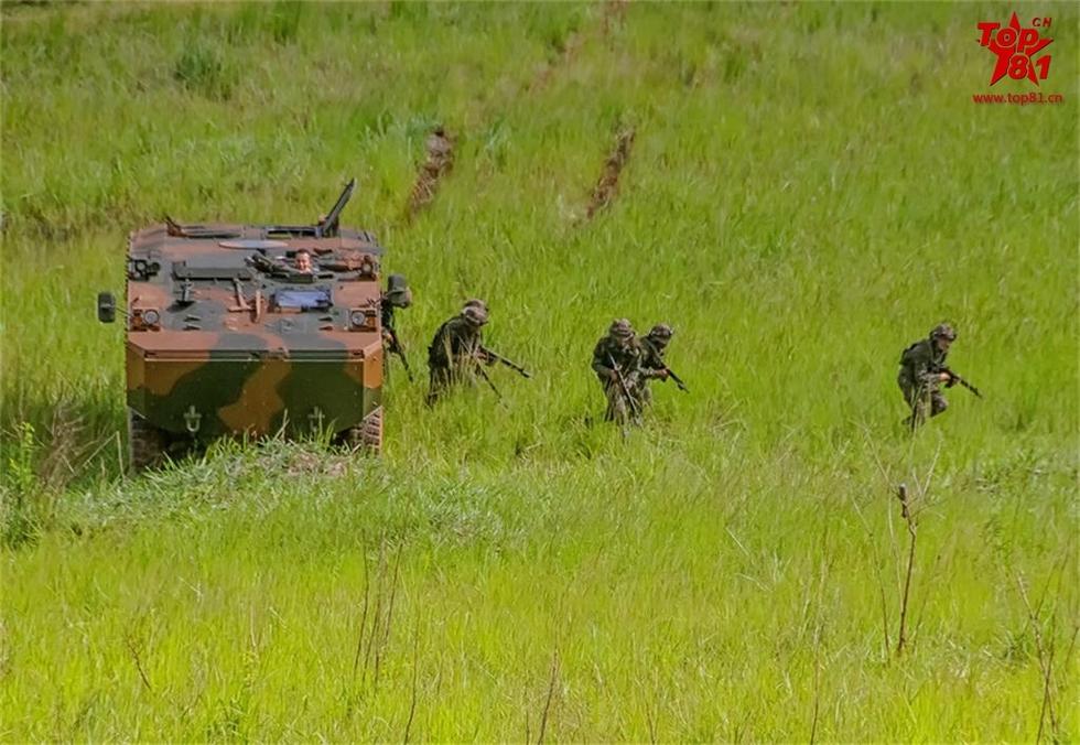 大菠萝福建导航在线看 大菠我常推荐给朋友