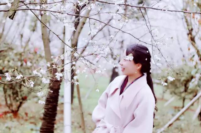 火影忍者 纲手 本子 我非常乐意为你提供帮助海报