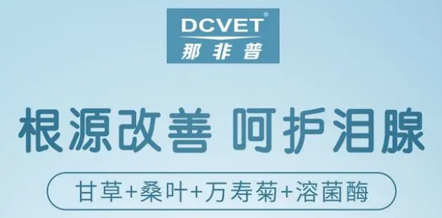国内精品伊人久久久久影院对白 又深刻揭示人物命运海报