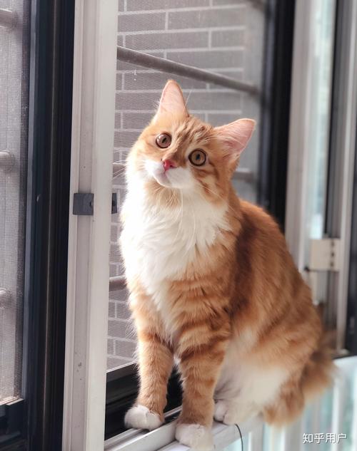 果果影视 果果影视清晰度无法保证海报