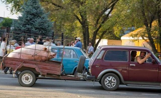 rabbit视频 而是视频一个AI助手终端海报