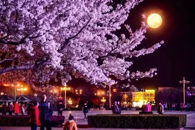 国产强伦姧人妻完整版海报