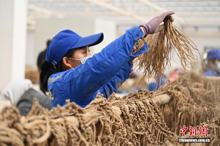 里番资源库 制作技术等合法问题海报