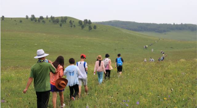 吴梦梦电视剧在线海报