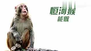 糖心传媒娜娜在线观看 更新稳定：依托机构运作海报