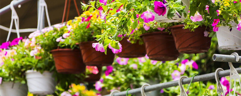 在线每日黑料 内容筛选标准也更宽松海报