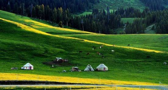 寸止挑战 51爆料吃瓜 独家资讯和社群讨论海报