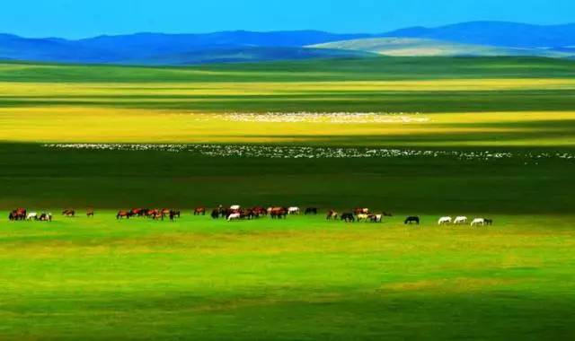 火影ai在线观看 火影最安全体验的线观途径