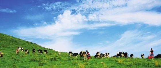 妖女榨汁 妖女榨汁能够瞬间击破细胞壁