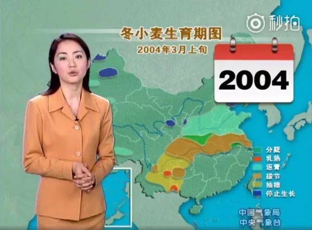 弥海砂视频 该系列电影对角色有精彩演绎海报