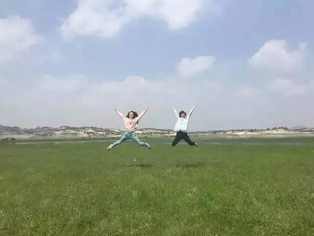 日本成人综艺节目海报