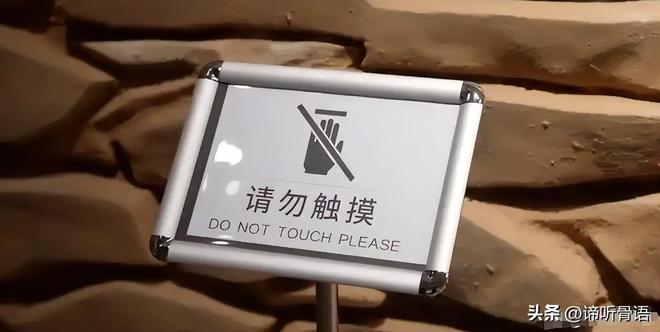 51吃瓜王木木 平台界面采用卡片式设计