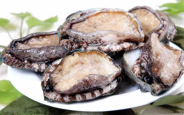 蓝莓视频隐藏路线 入口设置直观而不突兀