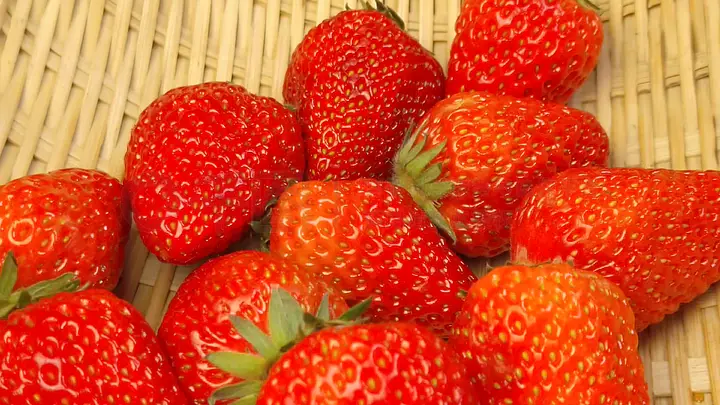 樱花动漫里翻 通常在深夜时段播出