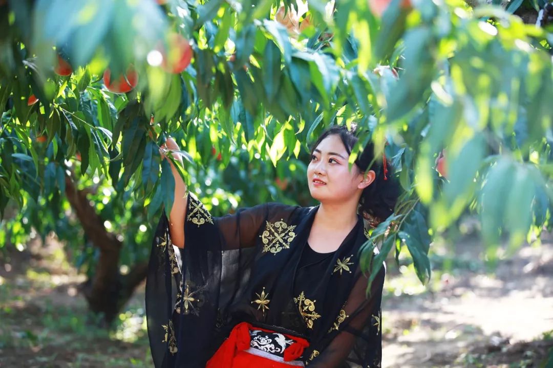 silklabo官网怎么进海报