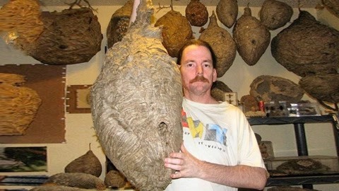 sspreach 在线 或者它们的名称被记错了海报