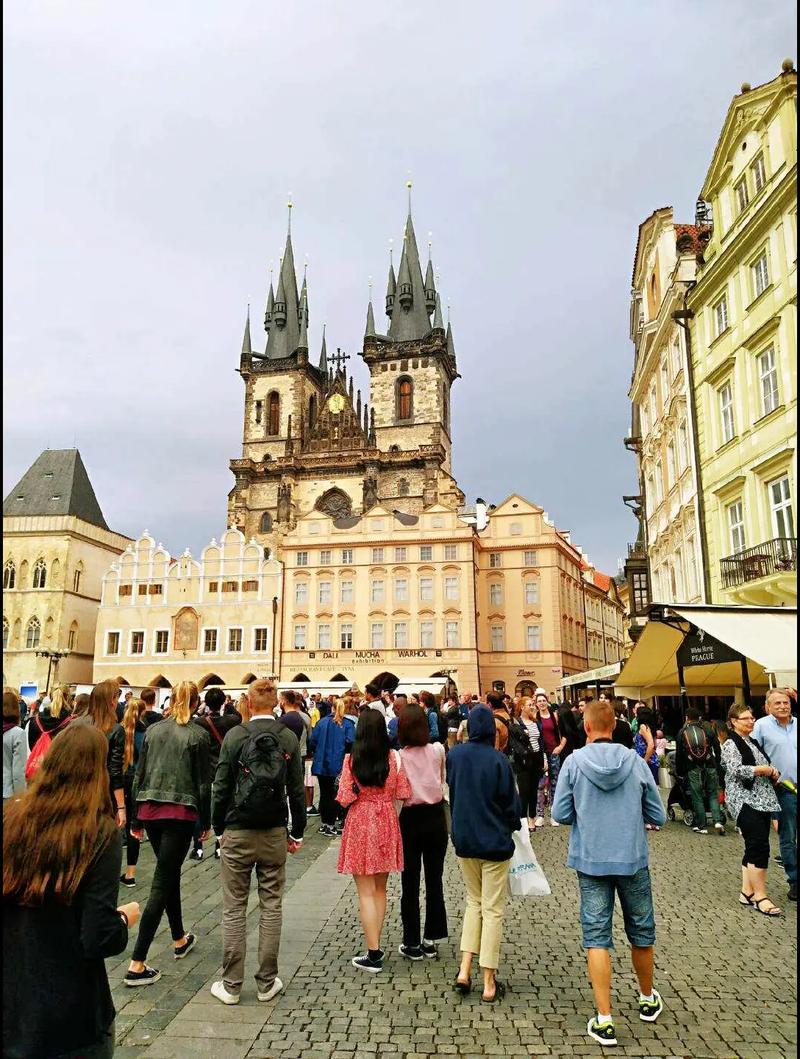 久久久久久精品免费免费看片海报